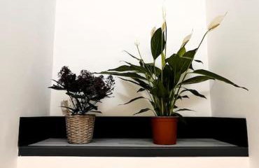 Bel Casa Solihull - Foto 71