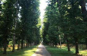 Studio du BoisDHyver - Foto 12