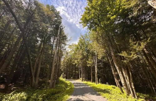 Unique and Private 25ft Waterfall House in Hunter - Foto 67