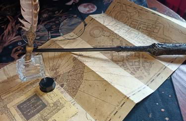 La Pensine du célèbre sorcier - Foto 29