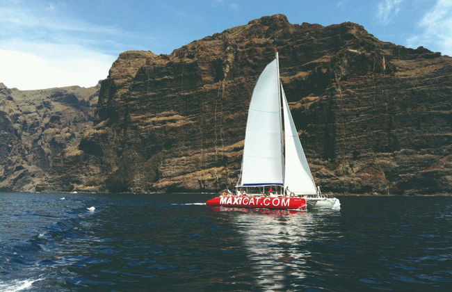 South Tenerife Cruise - Photo 3