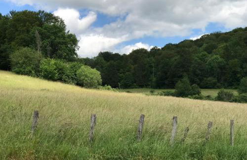 Gîte des Hirondelles, 4pers - Foto 20