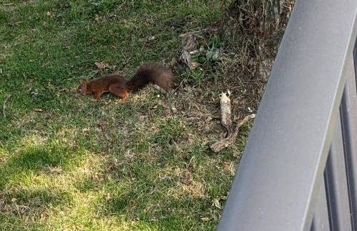 Relaxing Retreat with Hot Tub - Photo 27