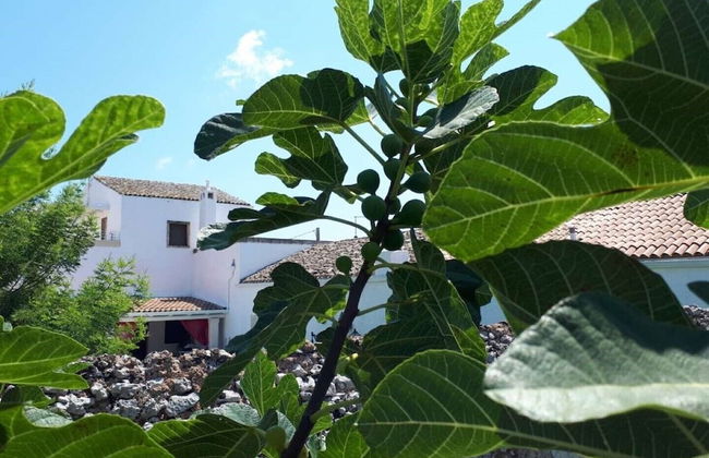 Masseria Costarella - Photo 68