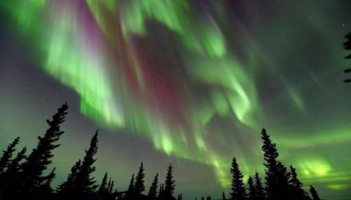 Denali King Suite with Amazing Views - Foto 3