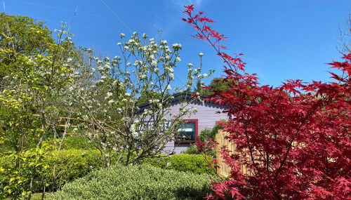 The Fabulous flower hut - Foto 3