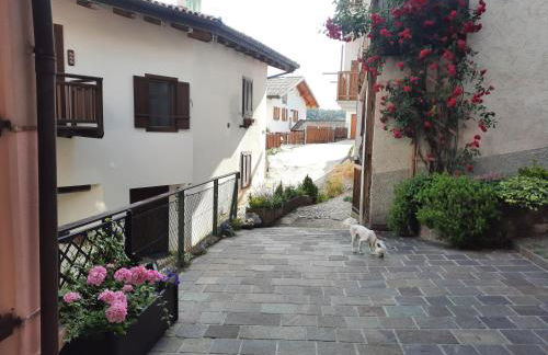 L'Antica Canonica di Casa Bernardi, terrazzo Wi-Fi PetFriendly con Area Cani - Foto 68