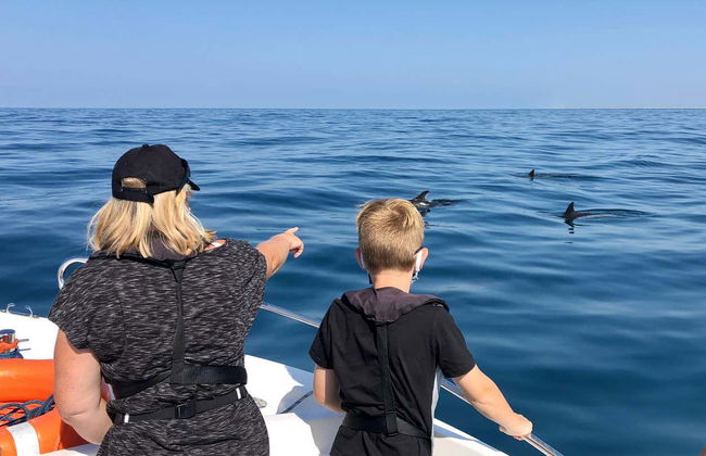 Faro Dolphin Watching Tour - Photo 5