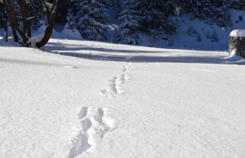 Studio rénové à Courchevel 1850, skis aux pieds, 4 pers, parking inclus - FR-1-575-247 - Foto 12