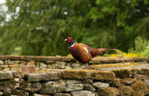Rawcliffe House Farm Studios, Peaceful North York Moors Retreat - Foto 40