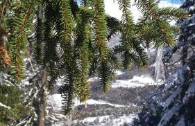 La Provence vous Attend - 2ème étage - Foto 36