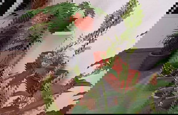 Mama Mia Home - Bukit Mertajam - Foto 9