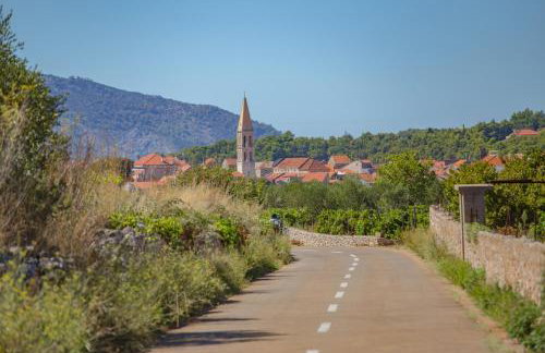 Revelin Hvar - Photo 54