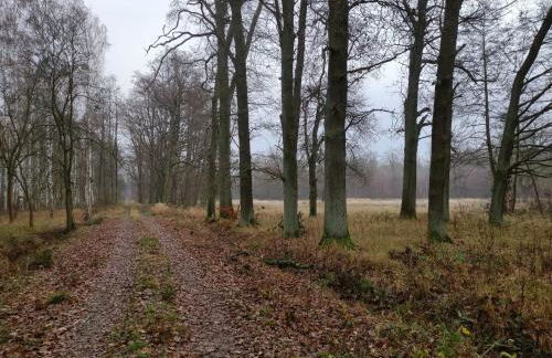 Ferienhaus Erna - Foto 44