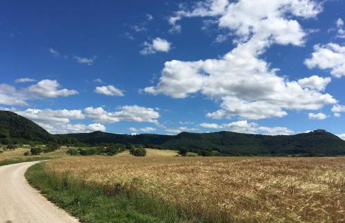 Ferienwohnung Zaunkönig - Foto 14