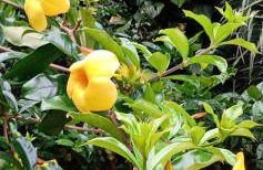 Rancho valhalla ubatumirim - Foto 10