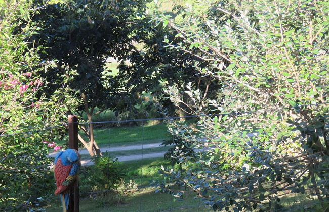 Fig Tree Retro Studio - Foto 33