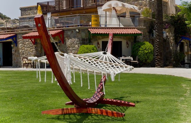 Palmiye Tepesi - Foto 72