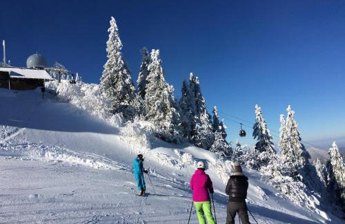 Haus Bergblick - Foto 7
