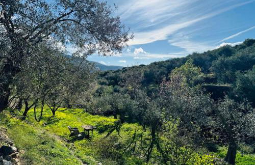 Almond Hill House - Foto 31