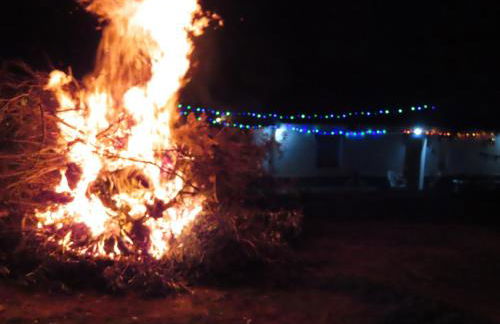 MONTE DO SALTO DA RAPOSA - Foto 46