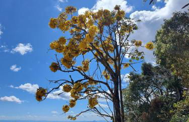 Chalés Ser Tão di Minas - Photo 2