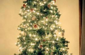 Spacious Gateway, Walk to POOL & BEACH, Hot tub, Game room - Foto 73