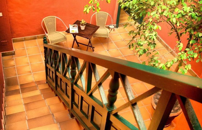 Finca La Florida - Foto 16