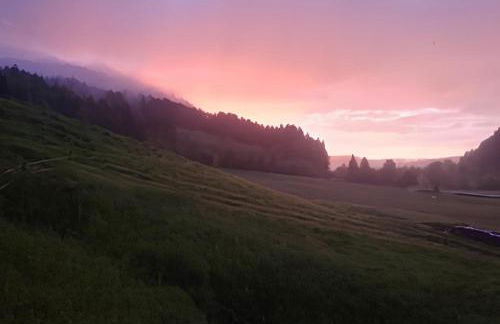 Ferienwohnung Arnika - Foto 10