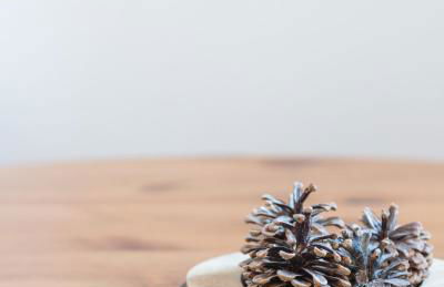 Chalet Clos Gauthier - Foto 13