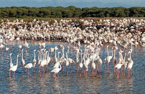 Apartamento junto a la playa con piscina y parking - Foto 22