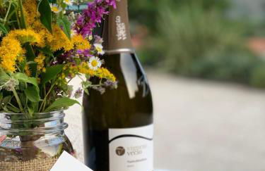 Agriturismo Vigneto Vecio - Foto 29