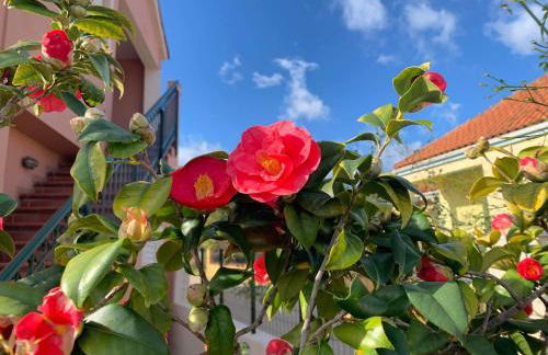 Melissani House - Photo 3