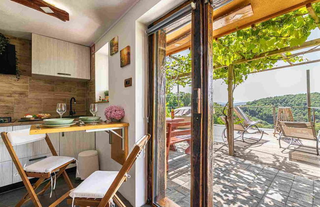 Vineyard cottage Soncni gric - Foto 19
