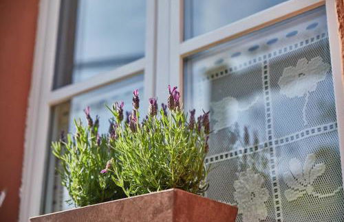 NEU!!! Moselbleibe Uferallee - Foto 78