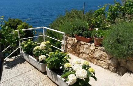 Sunset Apartments - Foto 30