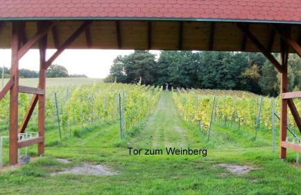 Ferienappartements Am Weinberg - Foto 30