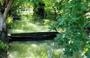 La chaume du marais poitevin avec barque green venice with boat - Foto 1