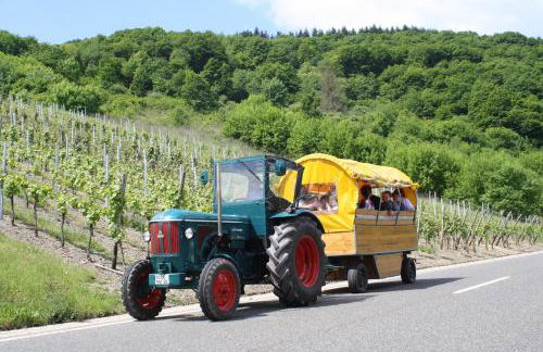 Komfort Ferienwohnung FEWO74-2 - Foto 52