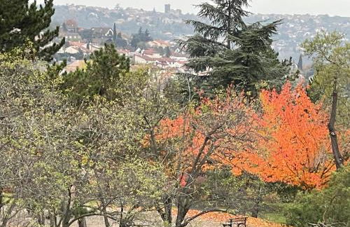 Les Dômes du Parc 4e App T3 et T1 proche de toutes commodités - Foto 35