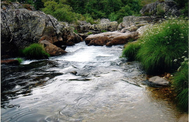 Casa Das Pias - Photo 33