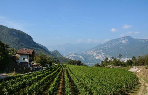 Maso Salim Relax Apartments - Photo 8