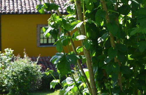 Casa Rural El Bellucu - Foto 4