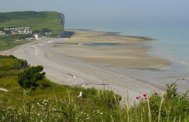 Holiday Home in Quiberville With Sea Views - Foto 38