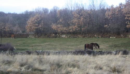 Casa Rural Los Castaños II - Foto 4