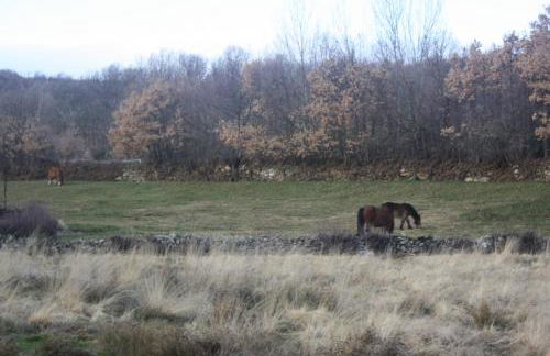 Casa Rural Los Castaños II - Foto 4