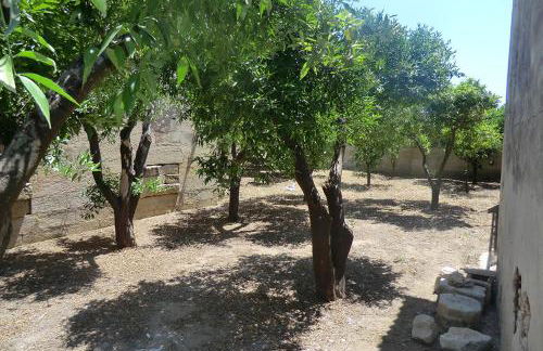 Masseria Cricelli - Foto 49