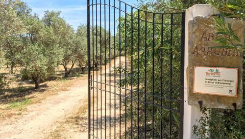 Abba Arrubia - Foto 4