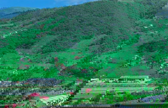 Garden House Villa - Photo 28