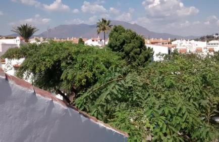 Casita Andaluza - Photo 23